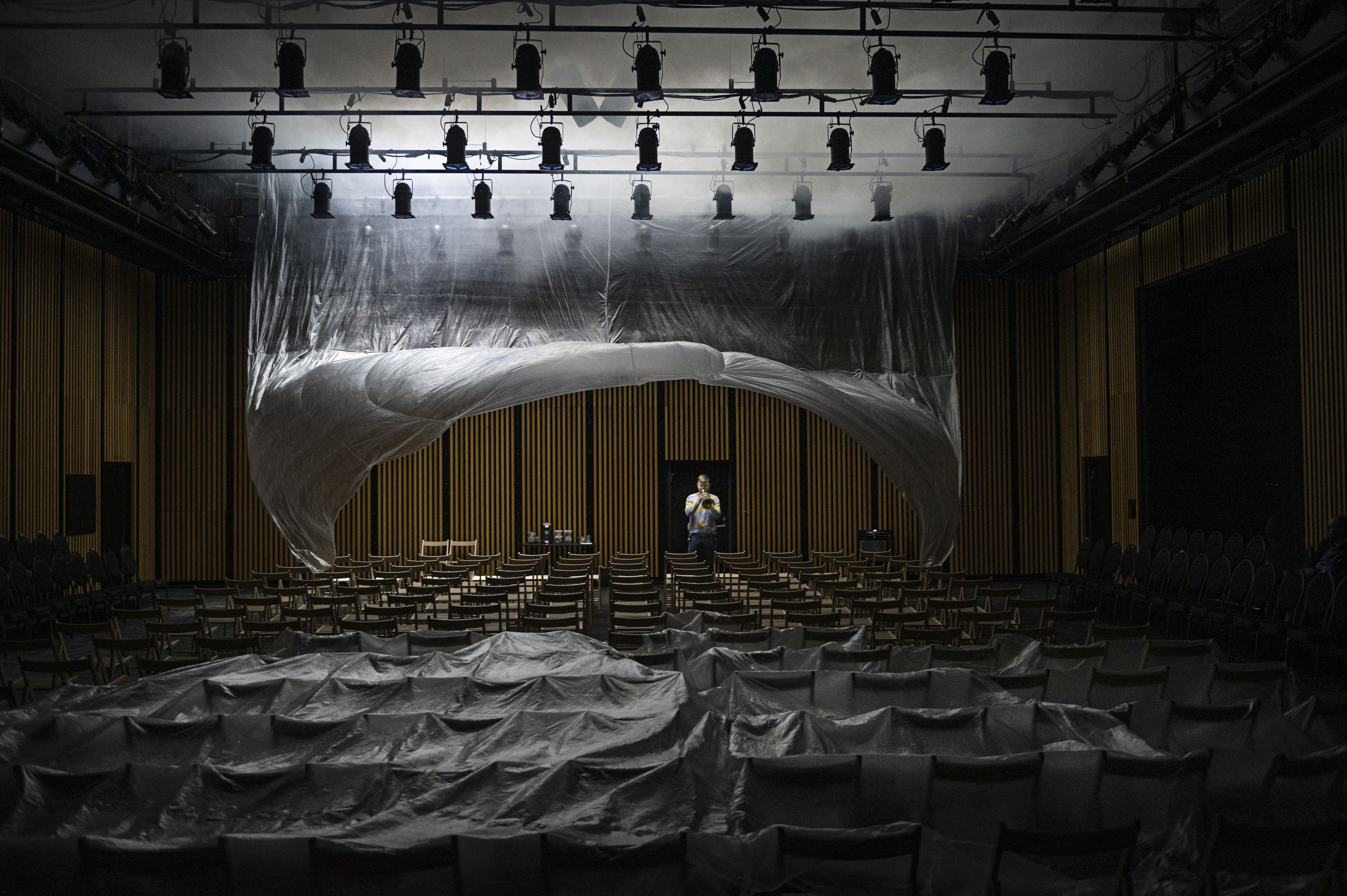 Erik Birkeland/Tingh