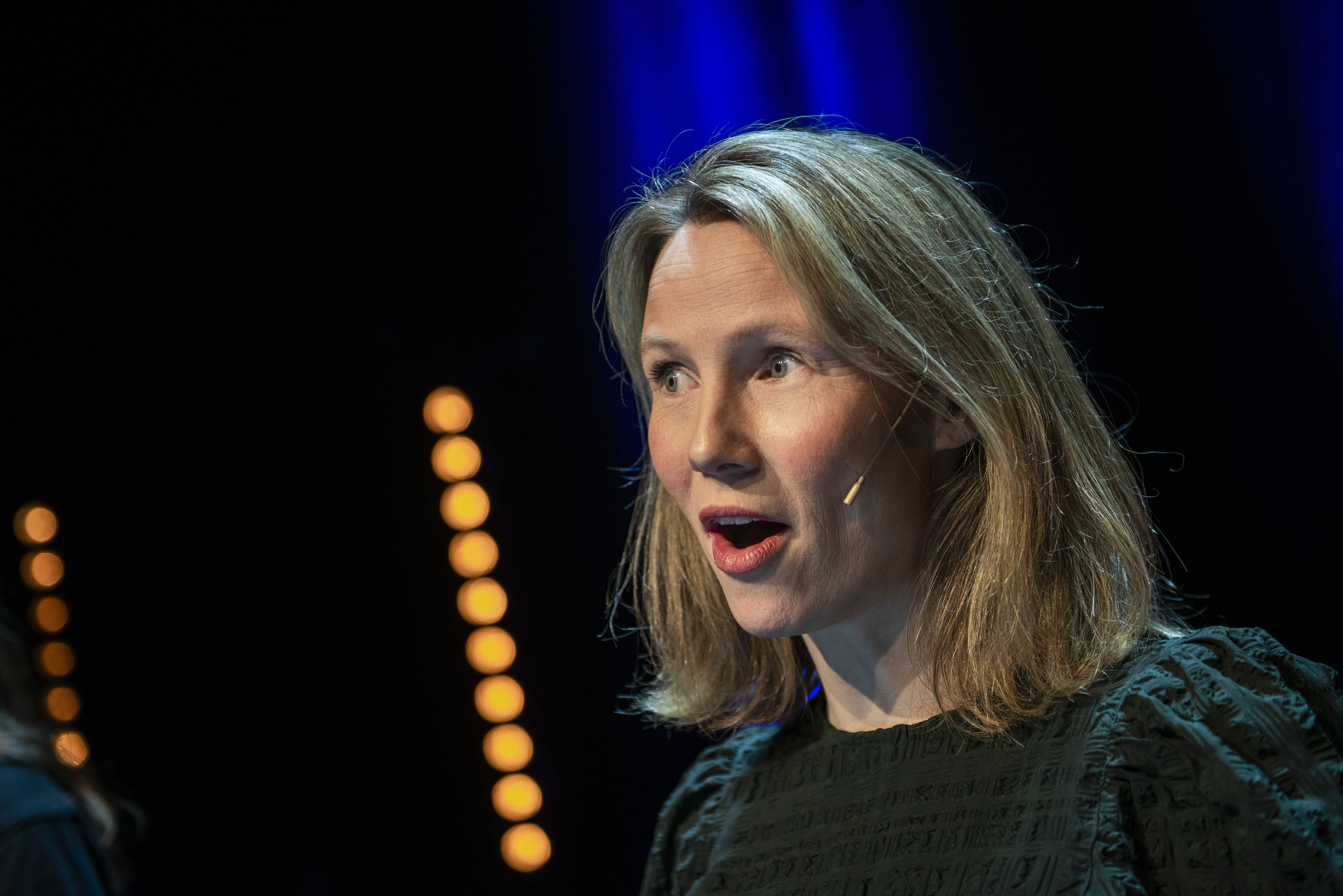 Erik Birkeland / Tingh