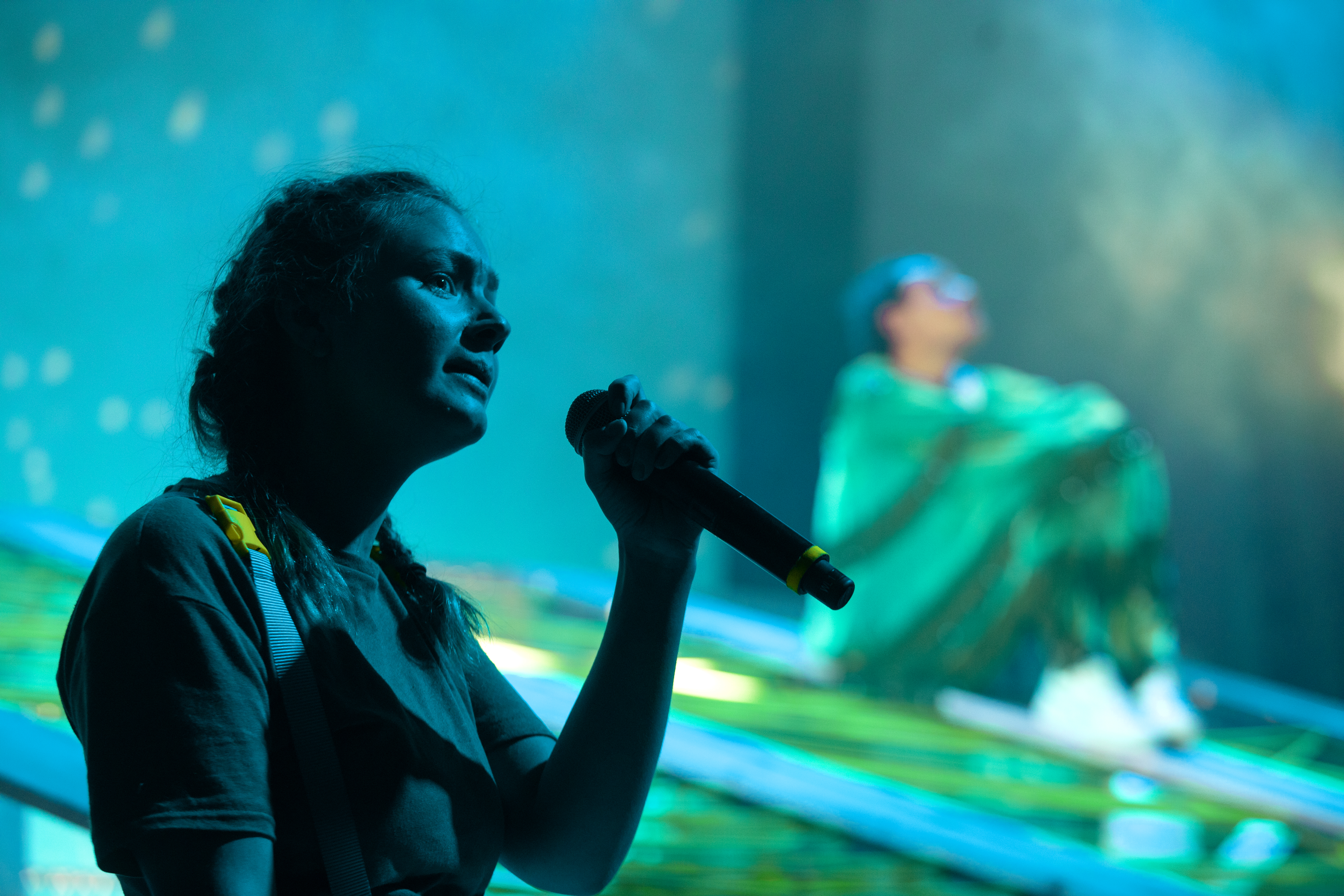 Erik Birkeland/Tingh